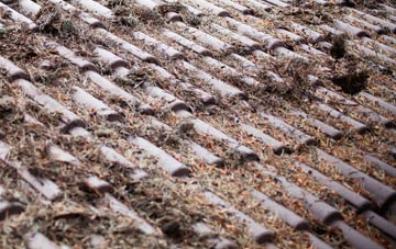 Dane End roof cleaning companies